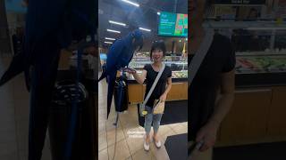 She Spotted My Bird at Whole Foods. Her Joy Was Instant!