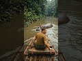 There's More?! #shorts #jungle #hippopotamus #jungleadventure #shorts #generativeart #nextgenai