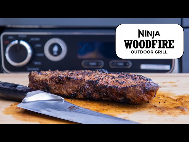 Ninja Woodfire Outdoor Grill review
