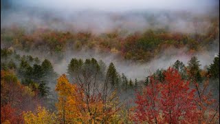 Merry Christmas~the fog-enshrouded Oak Mountain in Birmingham