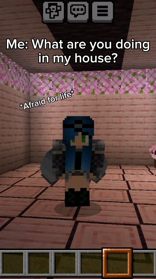 What R U Doing In My House I Want Waffle Fries minecraft tiktok what-r-u-doing-in-my-house-i-want-waffle-fries-minecraft-tiktok
