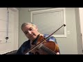 Day 35  pat the budgie  patti kusturoks 366 days of fiddle tunes