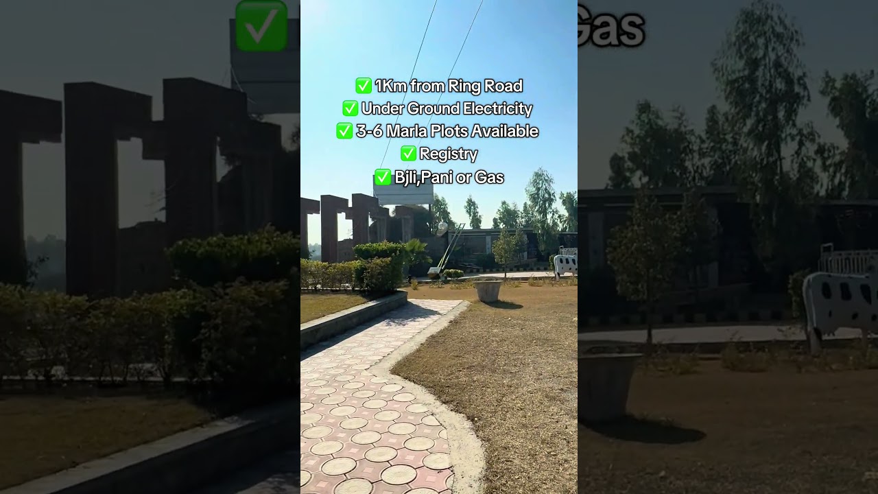 0339-0190109 ☎️ Contact for more information 