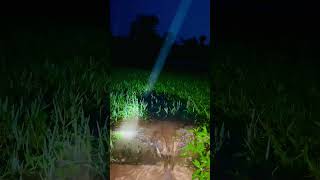 Fozor ar age abong pore musol dare bristy 🧎🌧️ #viral #shorts #salat #namaz #rain #water #trending