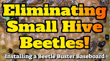 How to Install a Beetle Buster Baseboard. Easy Step-by-step instruction