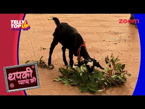 Thapki And Bihaan Fight With Each Other Again | Telly Top Up