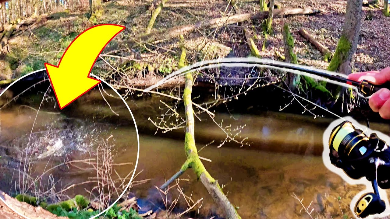 CHALLANGE z PSTRĄGAMI na niesamowitej dzikiej rzece i spotkanie z BUSZMENEM !!!