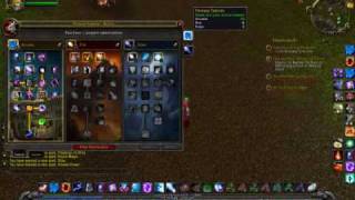 WoW Cataclysm Beta: Mage Water Elemental Glitch