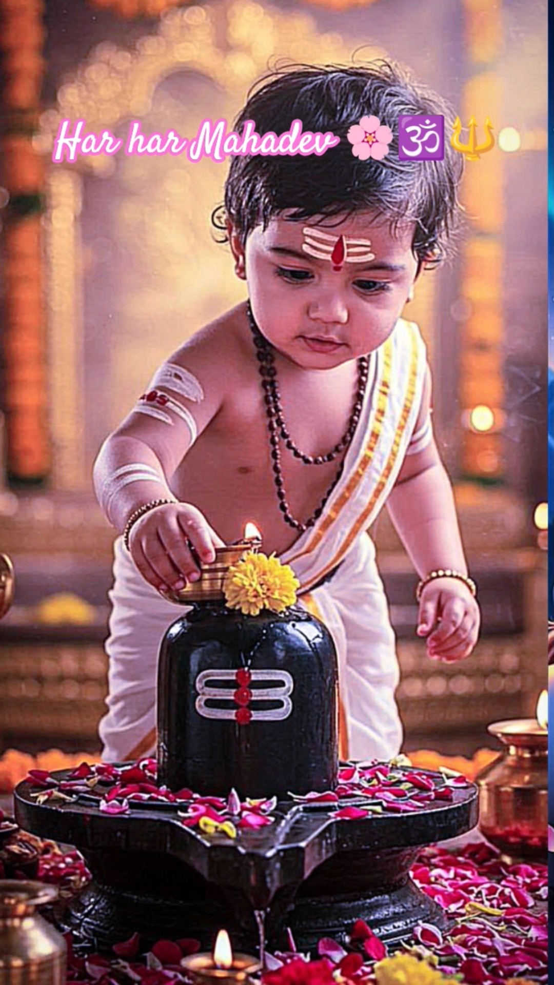 व्हाट्सएप्प स्टेटस - ShareChat