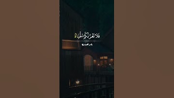 Surah Fatir :5  سورة فاطر:5 short video status reels مقاطع فيديو قصيرة لحالة #foru #foryou #surah