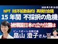 畠山澄子さんに聞く！15年止まったままのNPT再検討会議／米中会談と台湾——トランプは何を示したか／ホルムズと高市外交　ナフサ不足は目詰まりか？