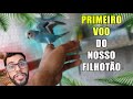 TIRADO DO NINHO A FORÇA