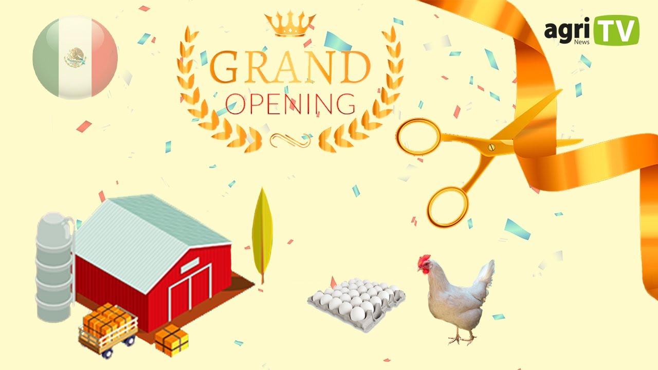 🆕NUEVA INCUBADORA EN MÉXICO🇲🇽🆕