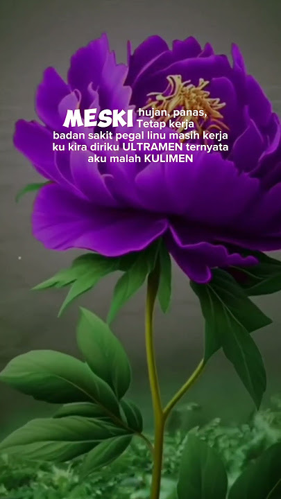 Meski Hujan Panas, Harus Tetap Kerja | Quotes Bijak | story #shorts #reminders #storywa
