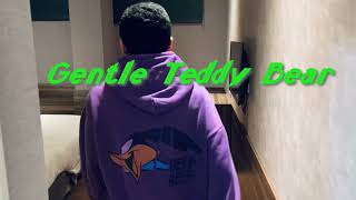 Andy hsieh -[柔情泰迪］-[gentle teddy]