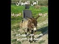 حميد الغيوان اغنية الورقة المورقة