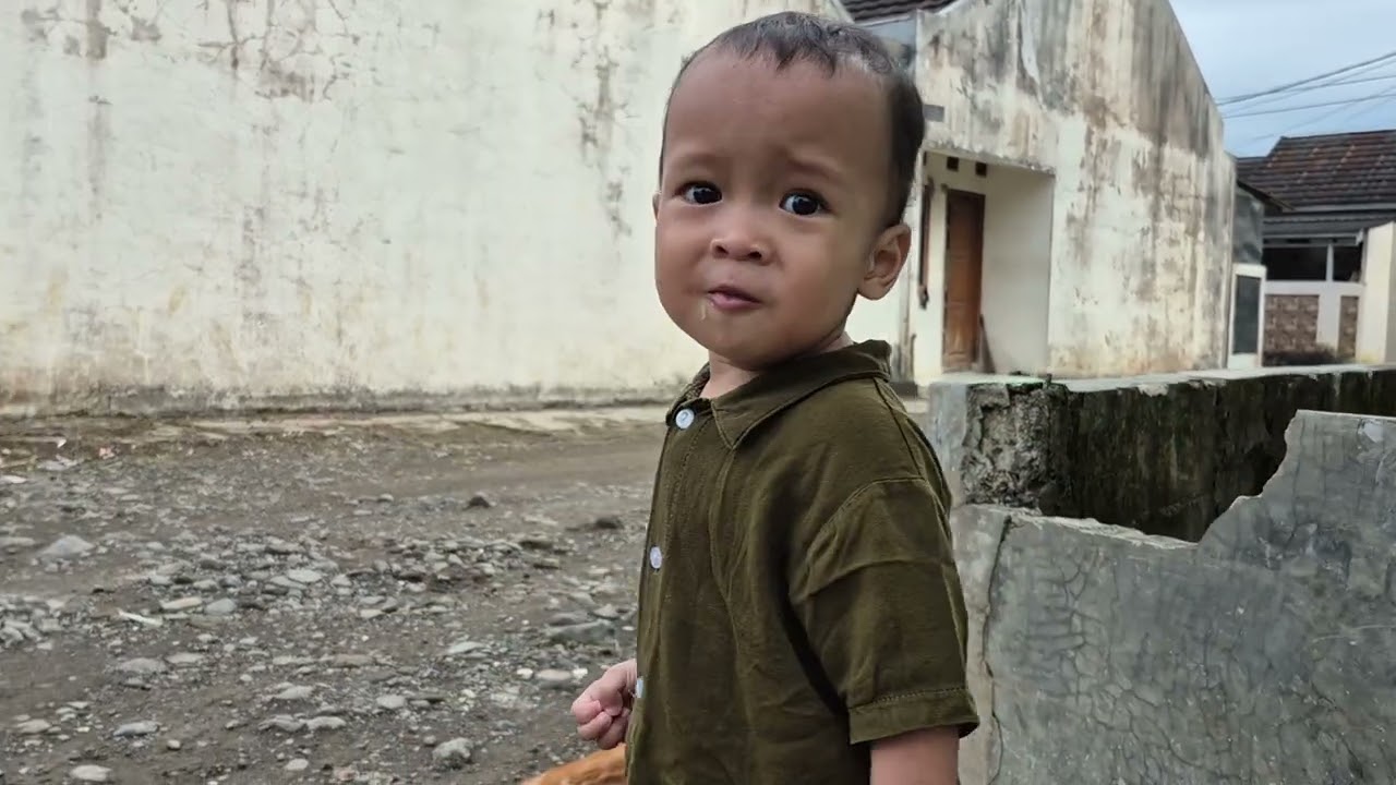 Bermain sore bersama kucing "meng"