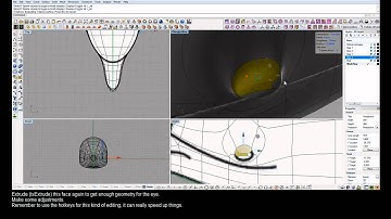 Learning TSpline---Dolphin Tutorial waudio