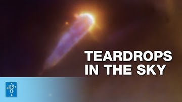 A multi-colour view of the young stellar object 177-341 W