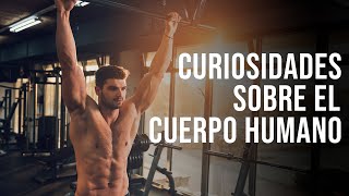 INCREÍBLES curiosidades sobre el CUERPO HUMANO