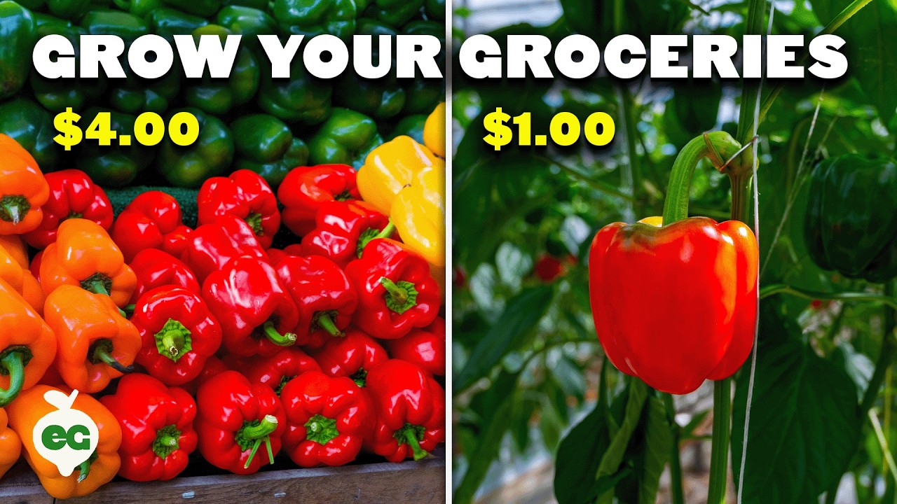 Grow These 12 Crops to Cut Your Grocery Bill 💸
