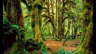 New Life ڰۣڿڰۣ ڰۣڿڰۣ PHIL THORNTON New Life ڰۣڿڰۣ ڰۣڿڰۣ PHIL THORNTON