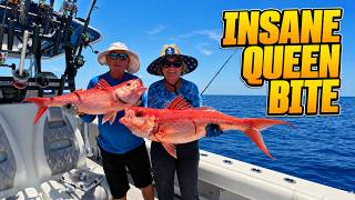 28 Queen Snappers + A 17LB GIANT! - Insane Queen Snapper Bite