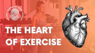 The Athlete's Heart: Can You Really Exercise Too Much
