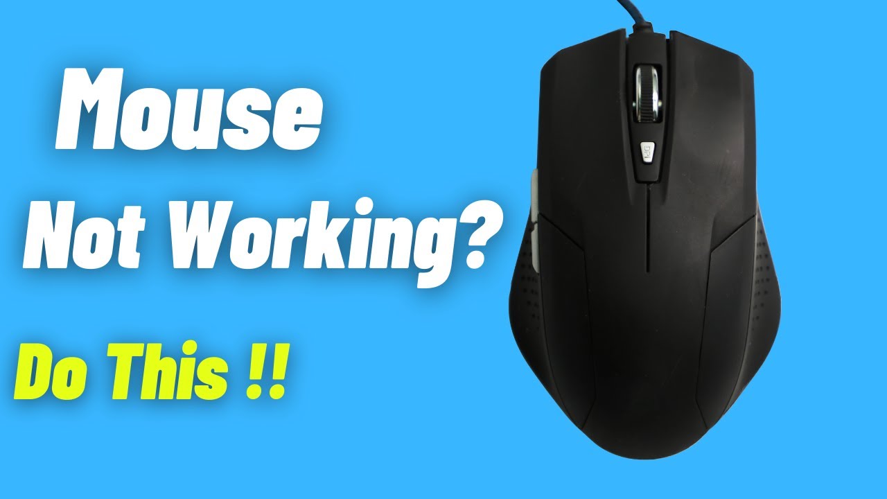 How To Fix Mouse Not Working in Windows 11Windows 10