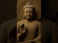 बुद्धम सरनम गच्छामी 🙏 💙 नमो बुध्दाय #shots #gautambudha #whatsapp_status #namobuddhay #धम्मसकाळ 💙