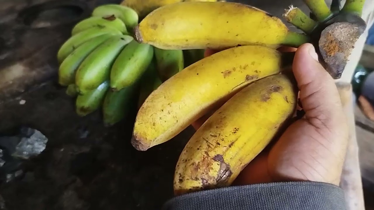 Porque é bom morar na roça? Assistir o vídeo pra intender.