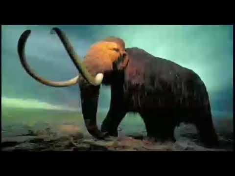 real wooly mammoth sound