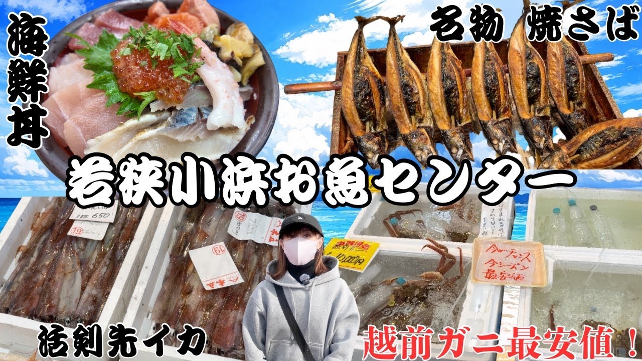 【激安】越前ガニ最安値！日本海最強の海鮮市場『若狭小浜お魚センター』へ潜入。#市場#激安#グルメ
