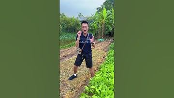 Cách fix tài khoản quảng cáo cắn tiền chậm và chạy lives bị thốc và không cắn tiền