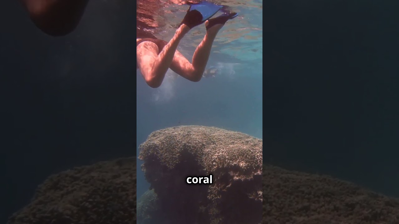 Can YOU Guess Where We're Going Next?? 🤔🗺️