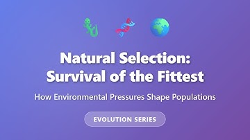 Natural Selection Explained: Survival of the Fittest | Evolution for Beginners