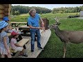 PARC OMEGA – восторг для взрослых и детей! Часть 2. #Канада туристическая