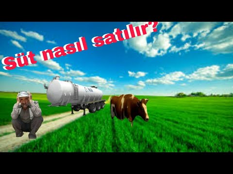 Farming simulator 18 süt nasıl satılır #2
