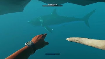 Stranded Deep Killing the MEG !!!