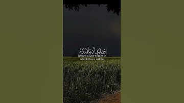 تلاوة خاشعة للقارئ ياسر الدوسري || سورة إبراهيم : ( 31 ) | #القرآن_الكريم