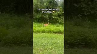 I Thought I Was Going To Get Ran Into