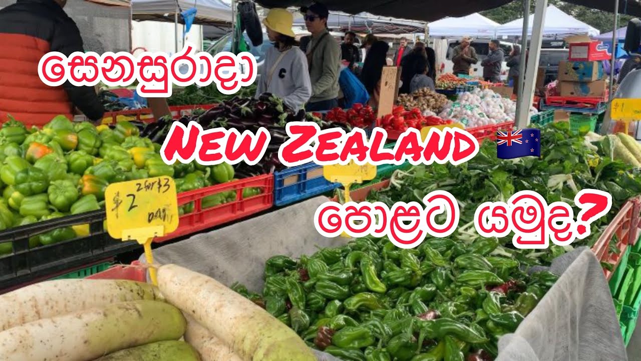 සෙනසුරාදා  New Zealand 🇳🇿 පොළට යමුද?