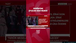 Cumhurbaşkanı Erdoğandan Çiftçilere Kredi Müjde