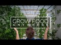 Grow Food Anywhere Without Soil and 95% Less Water | PARAGRAPHIC