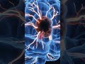 Early Signs of Stroke – Save a Life! Brain animation #stroke #nclex #shortsfeed #reels