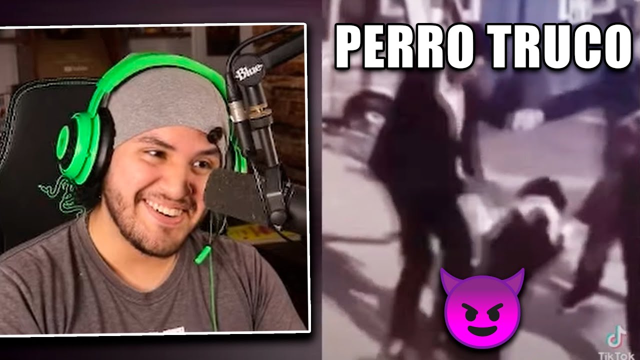 MISHIFU reacciona a SHITPOST #4