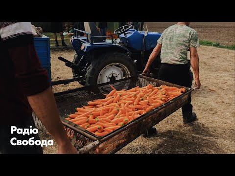 Українські малі фермери на межі банкрутства через коронавірус.