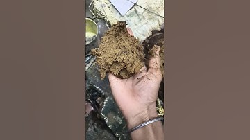 🧼Những Vật Dụng Đa Năng & Tiện ích Trong Đời Sống Hiện Đại #1231