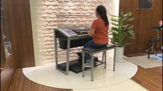 ASTRO 2021 贺岁主题曲 《元气满满Moo Moo哒》电子琴版 Electone Cover | Bei Bei