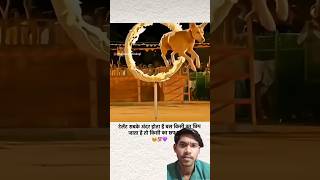 #dogshorts #ytshorts #trending #viral #doglife #doglove #prayagraj #new@sandhyarathor01